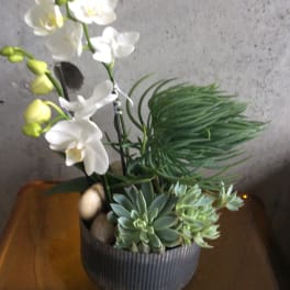 Succulent planter with orchid