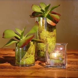 Simple Green Corporate Arrangement