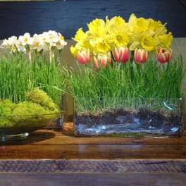 Spring Corporate Arrangement