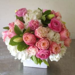 Pink Sensations