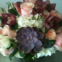 succulent arrangement